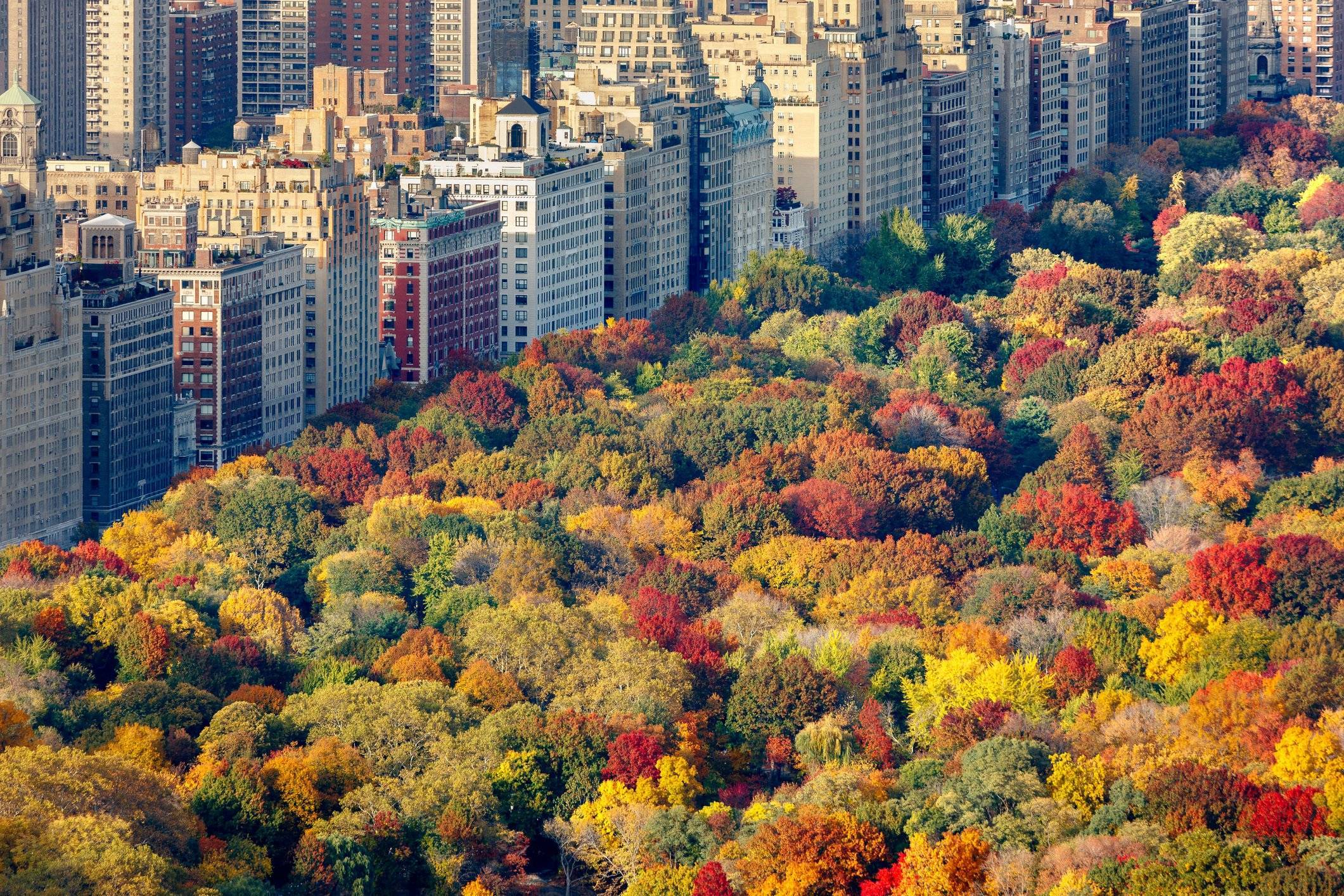 Happy Thanksgiving from BENEFITRA Health Benefits Solutions