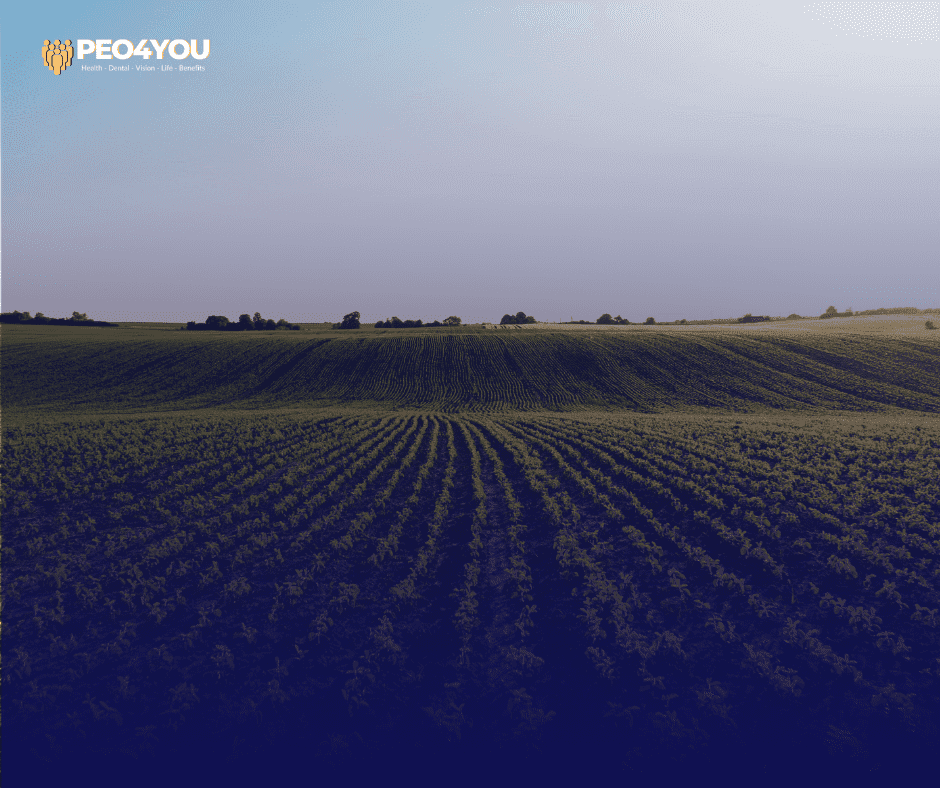 Telehealth in Private Benefits for Rural Areas