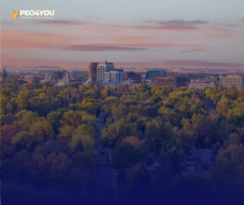 2025 Small Business Health Benefits Idaho Options