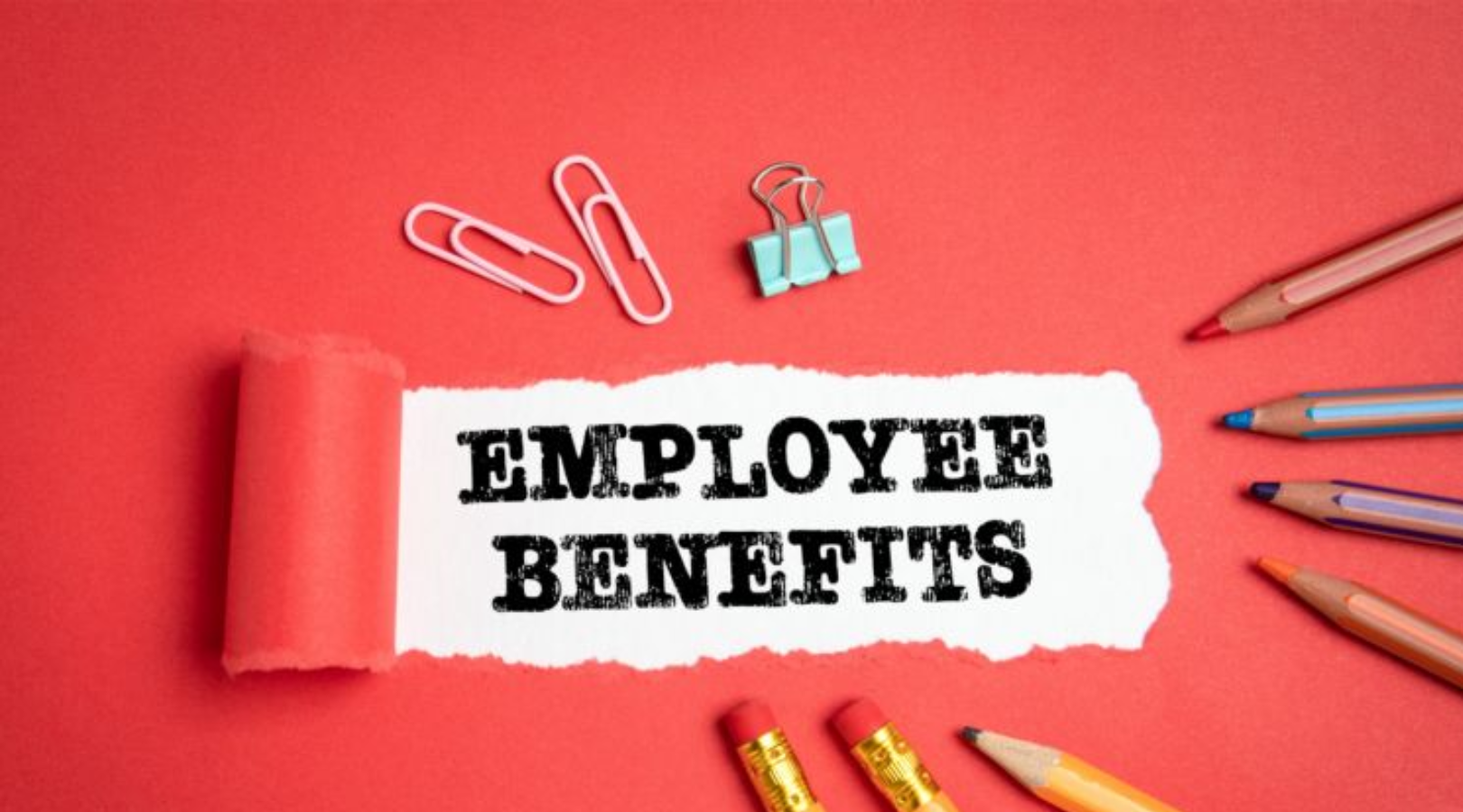 What Does 100% Employee-Paid Benefits Mean? A Comprehensive Guide for Employers